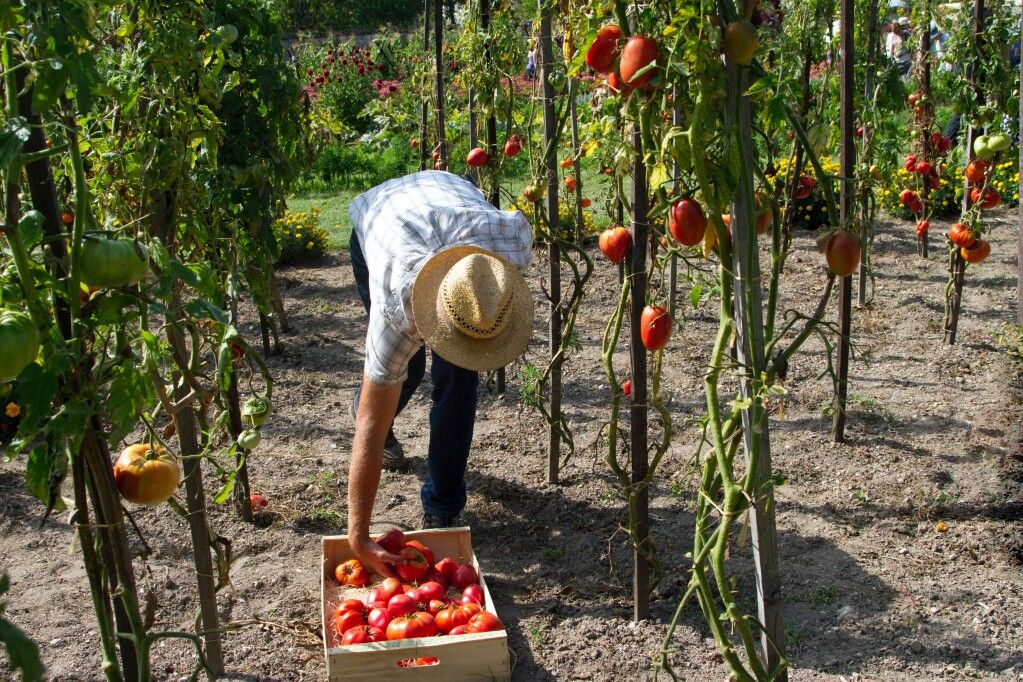 Gwarancje AGRO